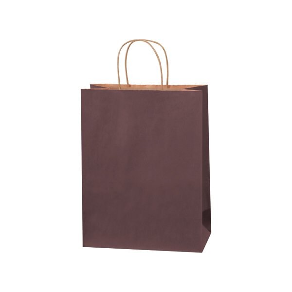 Bsc Preferred 10 x 5 x 13'' Brown Tinted Shopping Bags, 250PK BUY00029635 - main